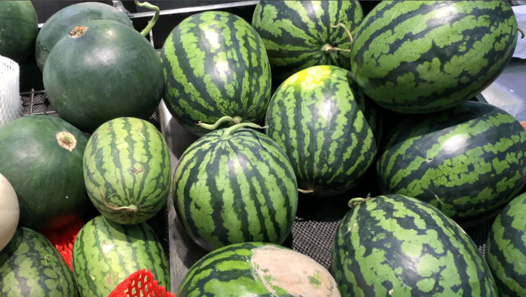 怎么样挑西瓜才能又沙又甜 6ffcec26a16b4988a1df826b6c6d79ef.png
