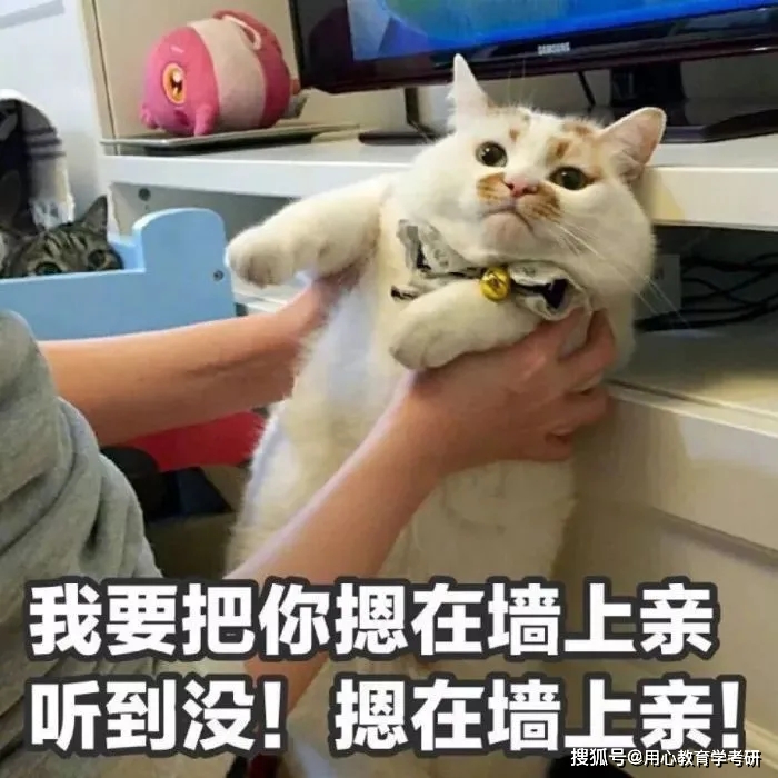 怎么高效哄人 0edc639d38504d40af8115be2a7bd3e3.jpeg
