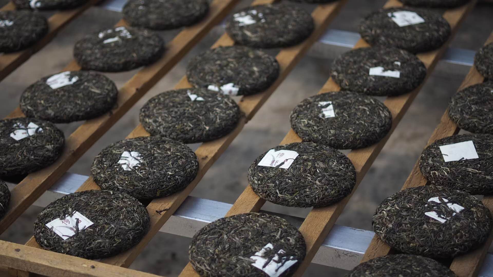 没有活性的普洱茶是不具备存放价值的