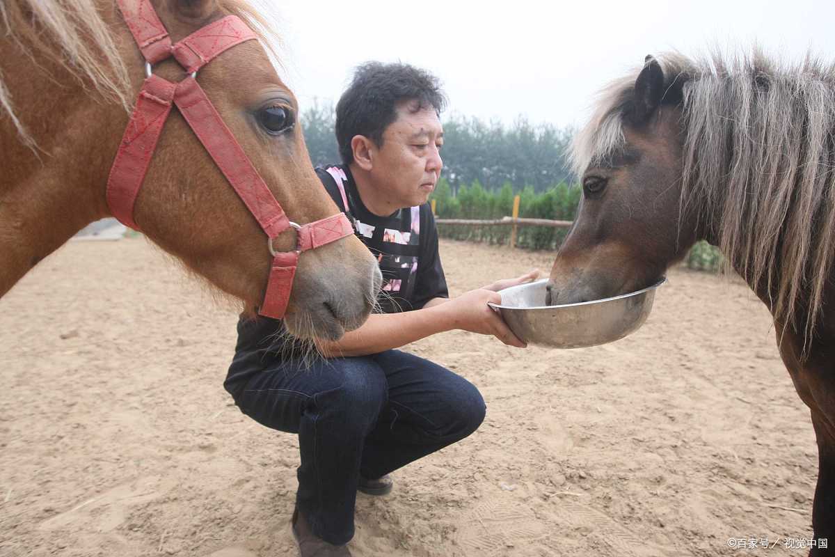 原创假如于谦选择离开郭德纲和德云社会怎样网友说像中年离婚