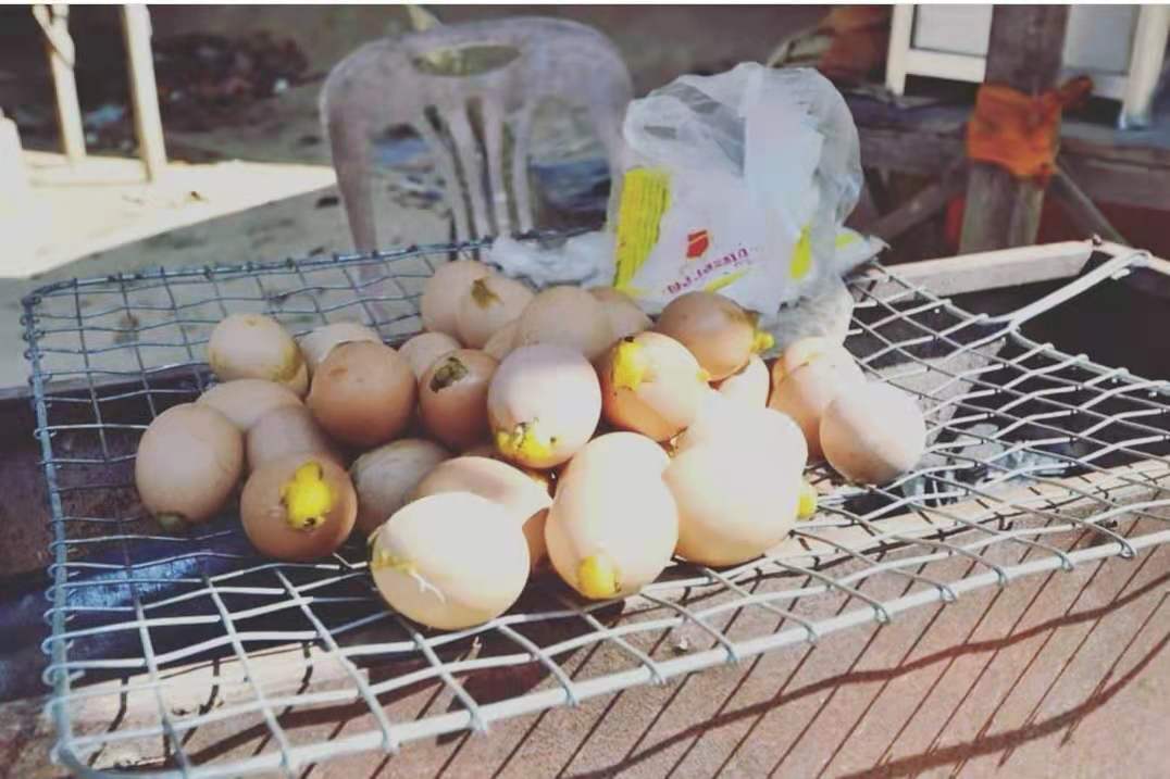 亚洲|美国知名节目,把“吃鸭仔蛋”当惩罚,4万网友:快道歉