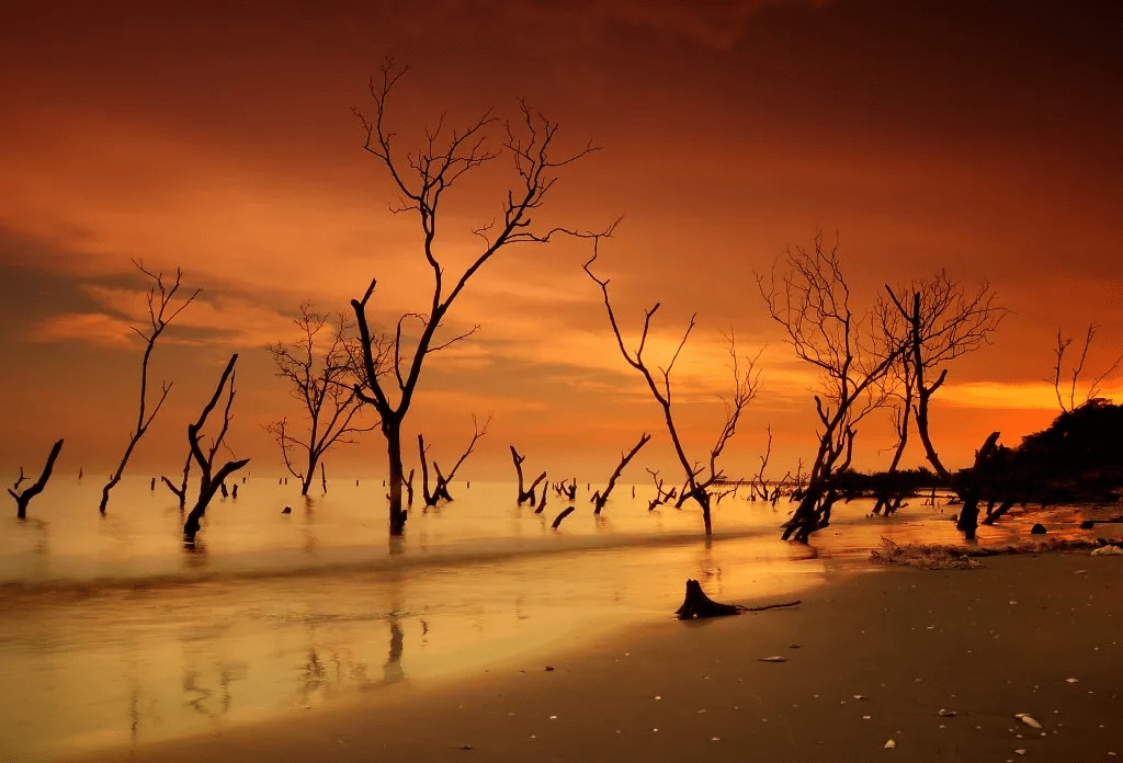 5b3820e3787f4886ad706a2df77b4dc5.png
