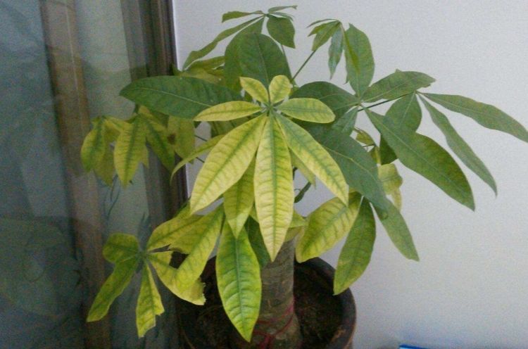 010036b482d54a7f92725b4e61c4f68e.jpeg
