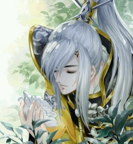 用背景故事战力表现排名_谢云流