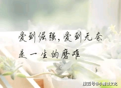 7b53d07ef3184f8fad30a29729e1607d.png