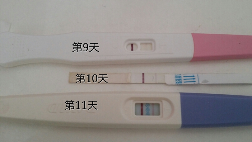 試管嬰兒移植後症狀有著床出血和痙攣