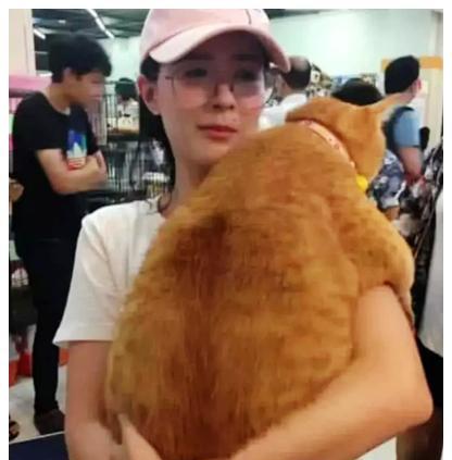 小姐姐带着橘猫去商场，发现周围人看自己，低头一看，瞬间明白了