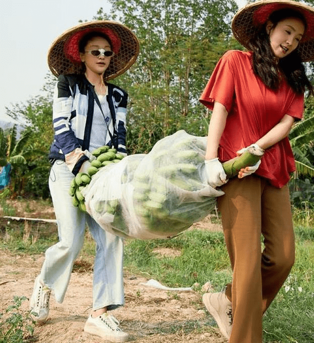 农活|周迅有钱任性，穿4万多的“香奈儿”干农活，戴顶草帽还挺接地气