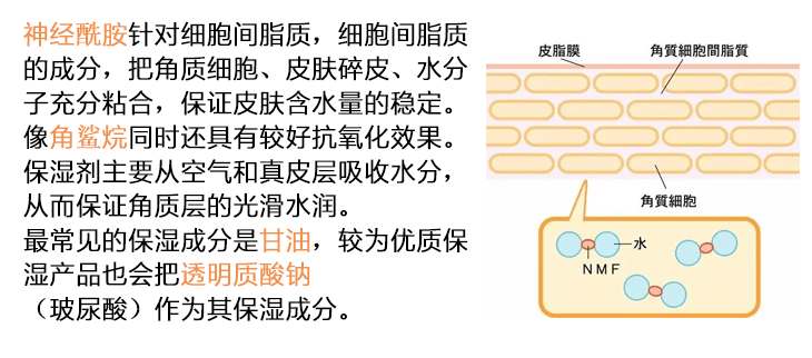 品牌|一线孕妇护肤品到底值不值得买？值得万年回购的高端成分护肤品牌