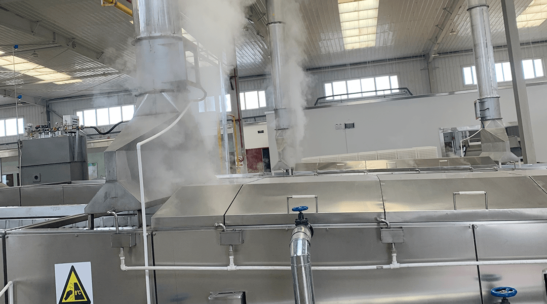 农业黑科技,蒸汽发生器用于黄花菜杀青,绿色工艺让农产品轻松增值!_加