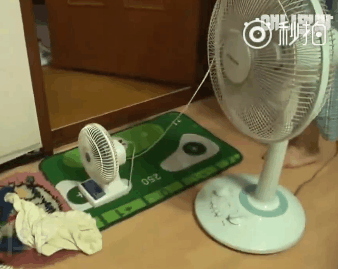 狗狗睡在嬰兒車里好幾天, 以為被遺棄了, 得知原因後淚奔了 萌趣萌寵 第9张