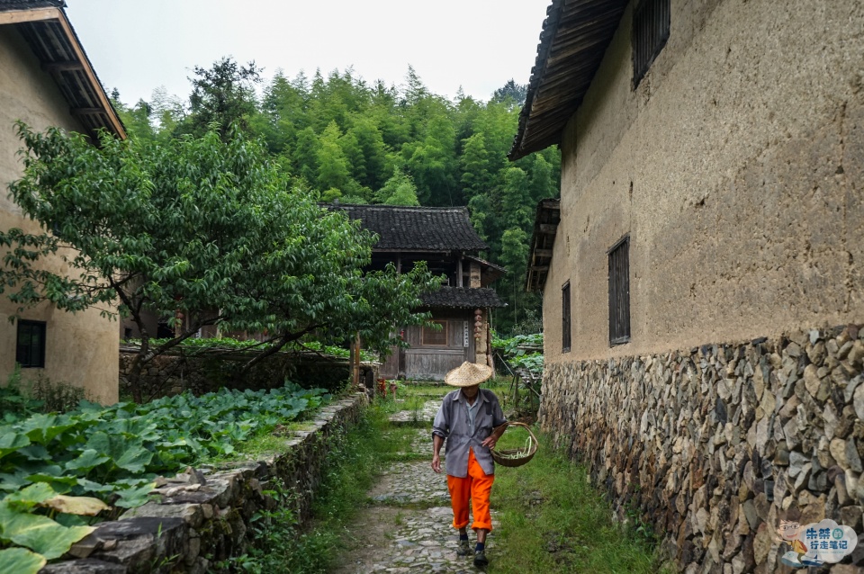 岙底|泰顺现存最完整的古村落，明明是吴姓聚居地，却总让人误解姓徐