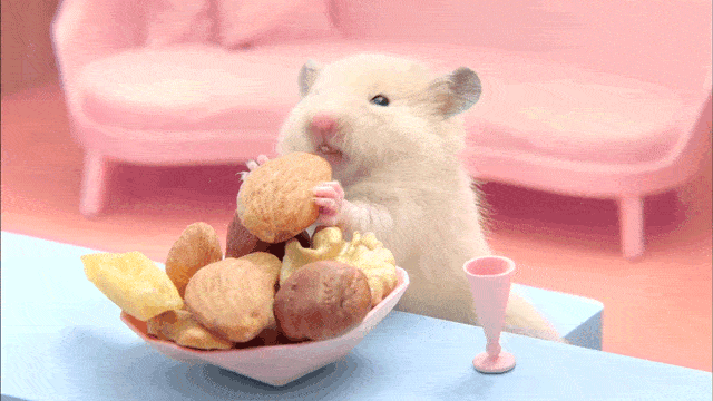 卫健|一律禁止！教育部、卫健委4部门：中小学不得设小卖部！这5类扔了也别孩子吃！