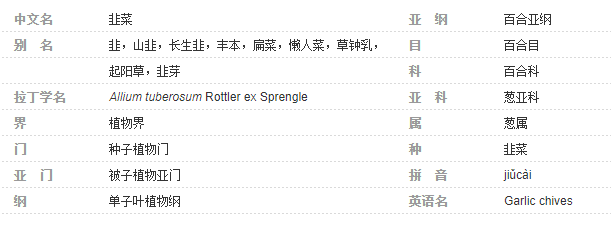 治疗|紫癜肾炎患者有什么忌口的吗？紫癜肾炎能吃韭菜吗？