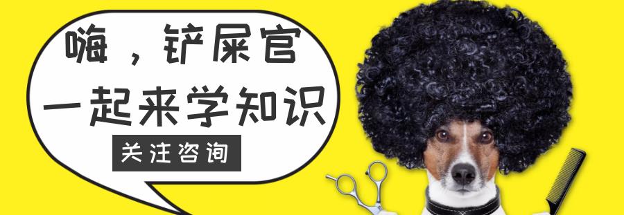什么|这种狗基因太强大了，任何和它串的狗，都被它同化