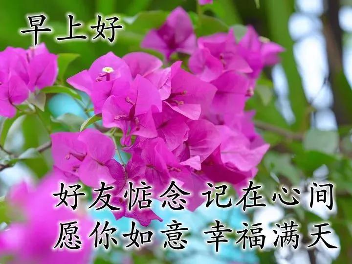 35b6fd672d254dbeaade31ae503e9eae.jpeg