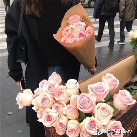 21唯美高级感鲜花背景图 浪漫的高级感鲜花束图片素材 粉紫色