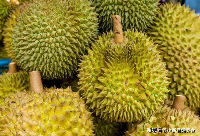 多肉怎么分公母 5d0ce82328064137b329bef6c1634737.jpeg