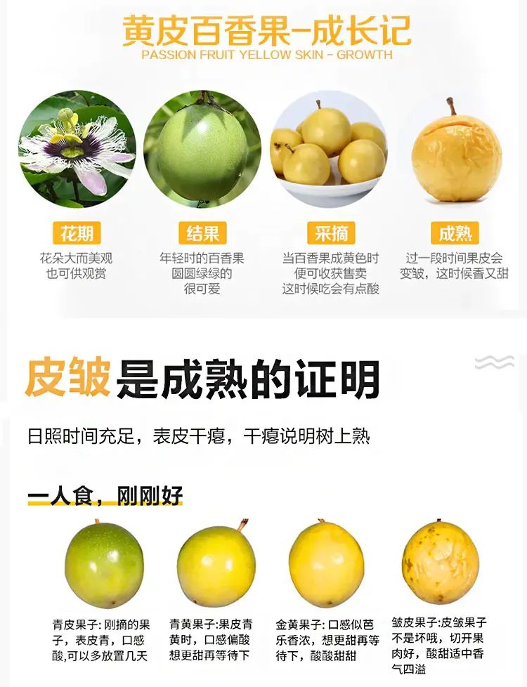 福建黄金百香果
