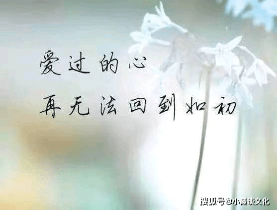 戳中心事的一句話傷感語錄,句句入心,給為愛受傷的人