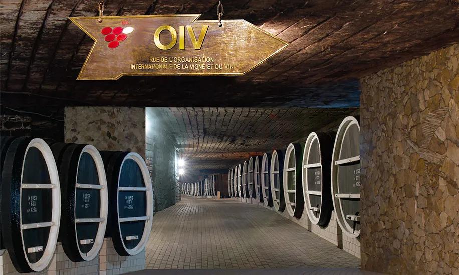 国家|国际葡萄与葡萄酒组织第19届大会结束,摩尔多瓦获更多关注!