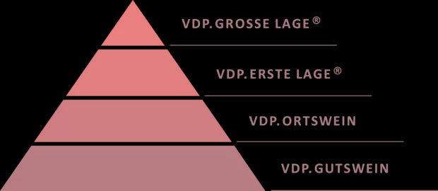 Loosen|买德国酒要认准这只鹰，也要了解它背后的VDP分级