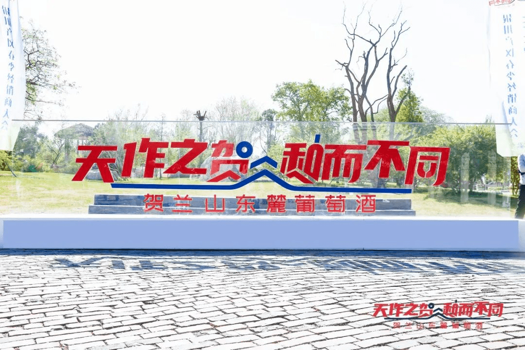 阳阳|收官之站！中国贺兰山葡萄酒探索之旅—酒庄庄主代表访谈