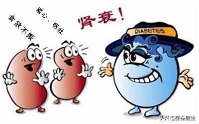 治疗|都说肌酐升高代表肾出问题?肾内科医师解释给您听,快快收藏起来