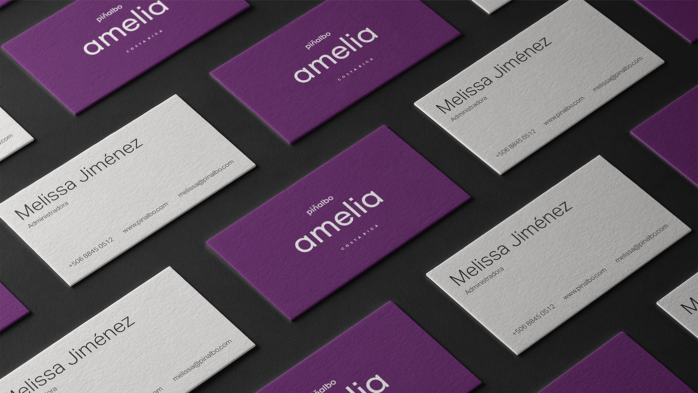 Atelier|平面设计 | Pi?albo 哥斯达黎加水果品牌形象设计