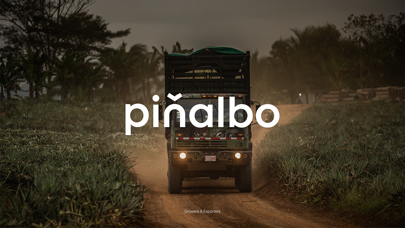 Atelier|平面设计 | Pi?albo 哥斯达黎加水果品牌形象设计