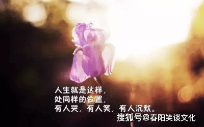 767539f999b04c27ab5cd553d999465d.png