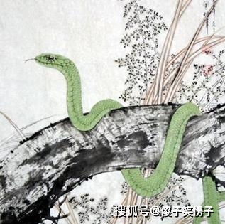 梦境交织，晚上梦见鱼与蛇的神秘寓意