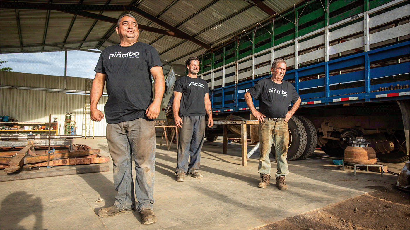 Atelier|平面设计 | Pi?albo 哥斯达黎加水果品牌形象设计