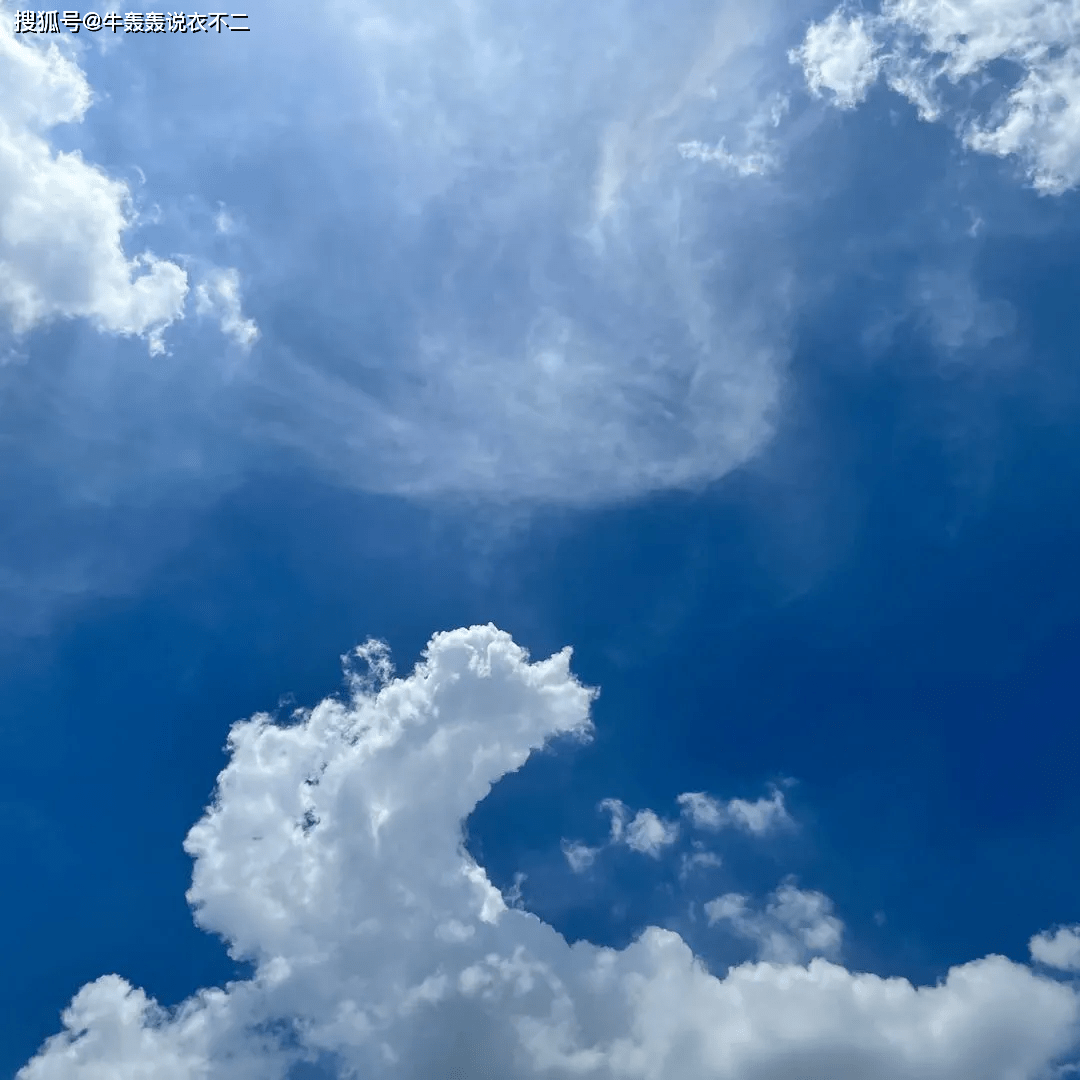 夏天|能从夏天穿到秋冬，这个克莱因蓝的配色，真的耐看又养眼