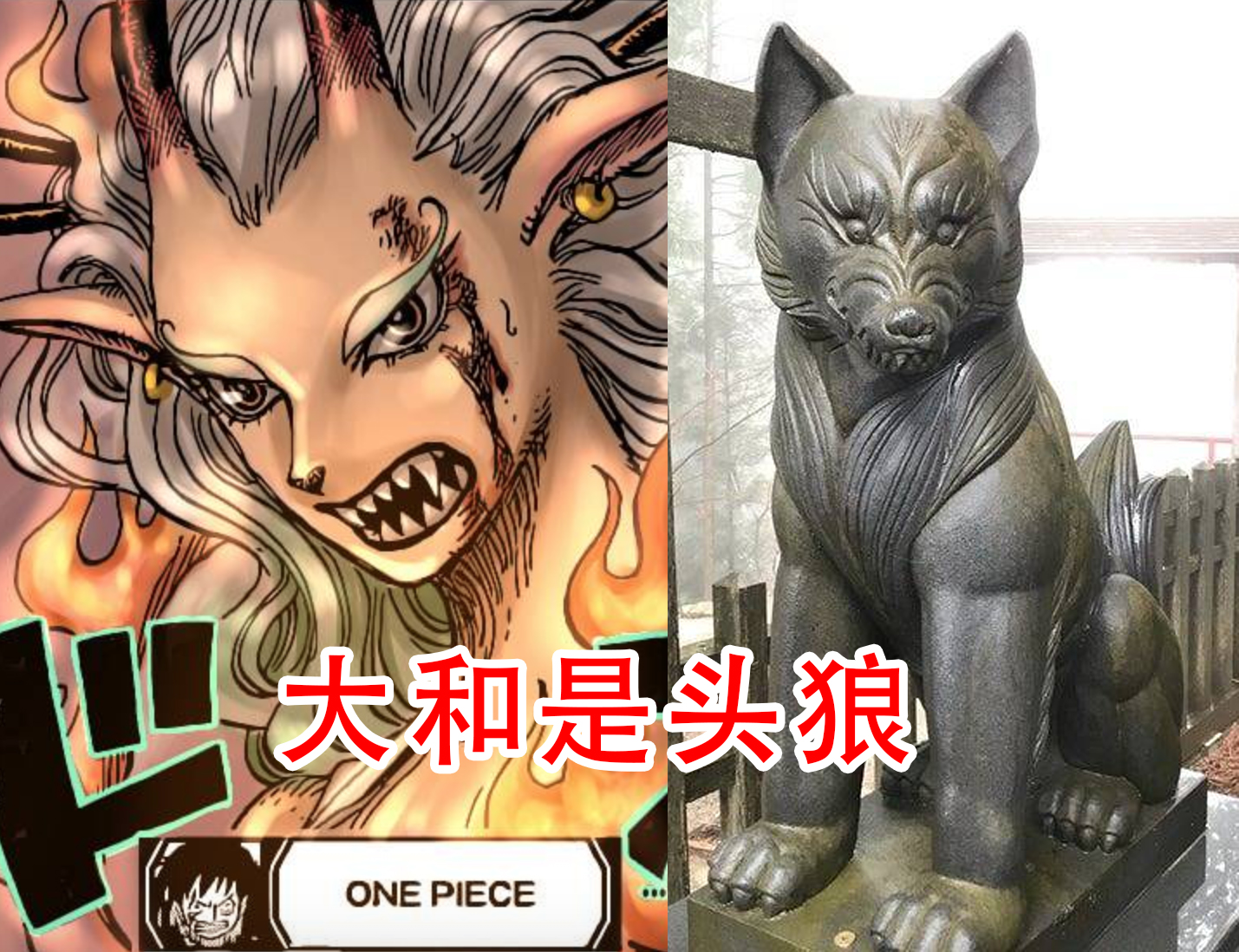蜘蛛|海贼王1020话，大和的恶魔果实曝光，居然是头狼，真没有排面