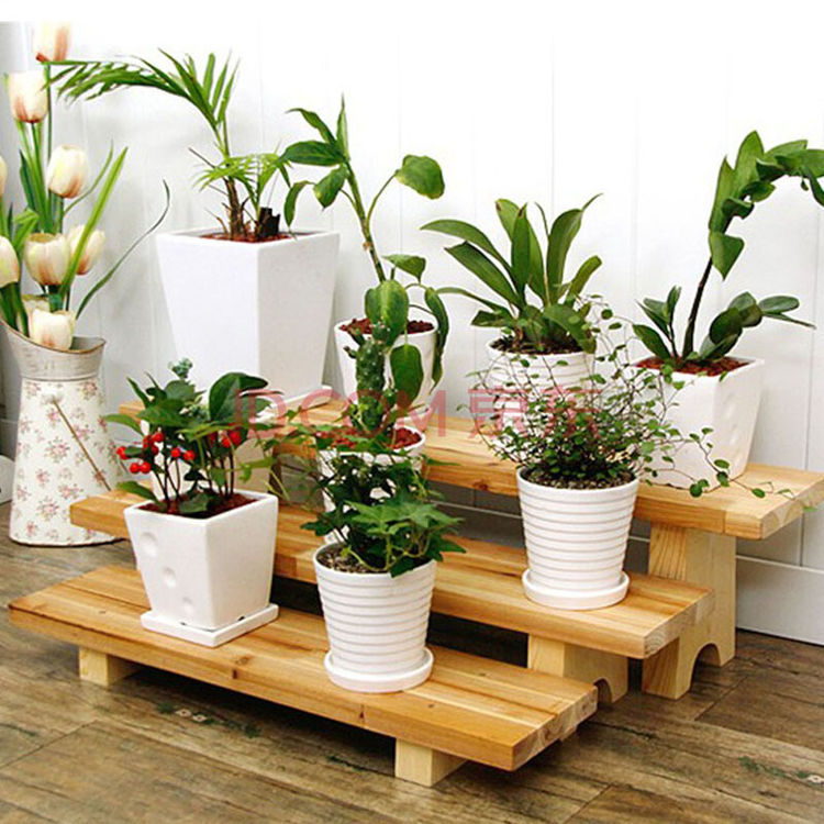 原创阳台养花这些习惯是不能学的这样根本养不好花