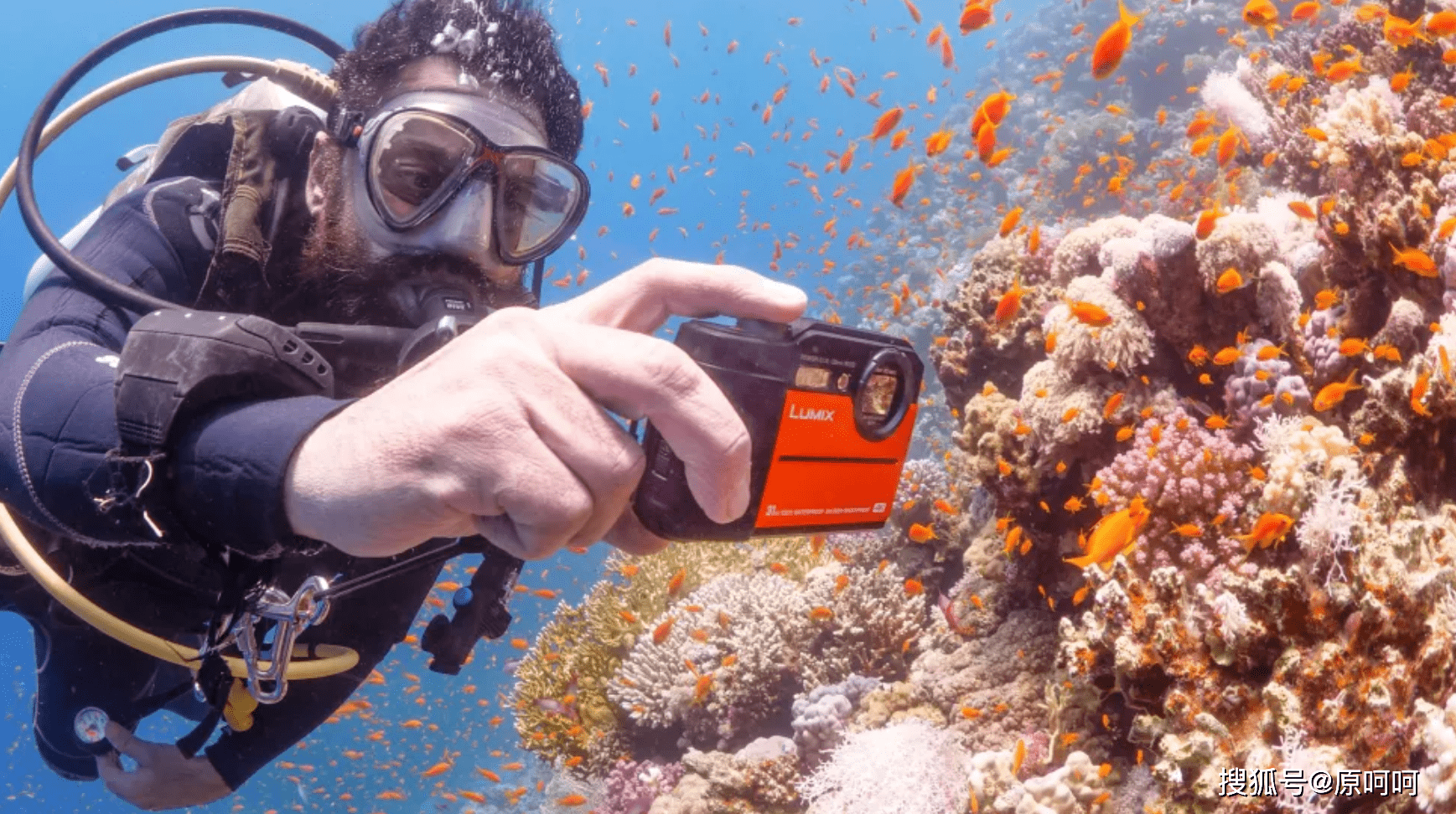 围观 21年5款最佳防水相机 充满乐趣和花样的水下相机 Gopro
