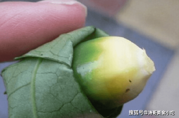 什么|马尔代夫家庭的一日三餐,都爱吃些什么,100年内它将不复存在