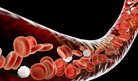 吃什么药能缓解神经紊乱 96089f4c3015413baeb73d95c3d9ef30.jpeg