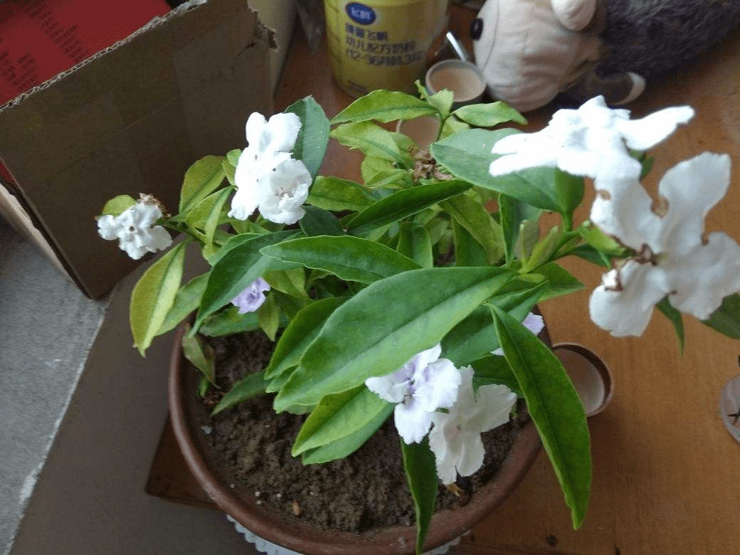 cb8edaf3bc8246abae45ba1ecb87bd7e.png