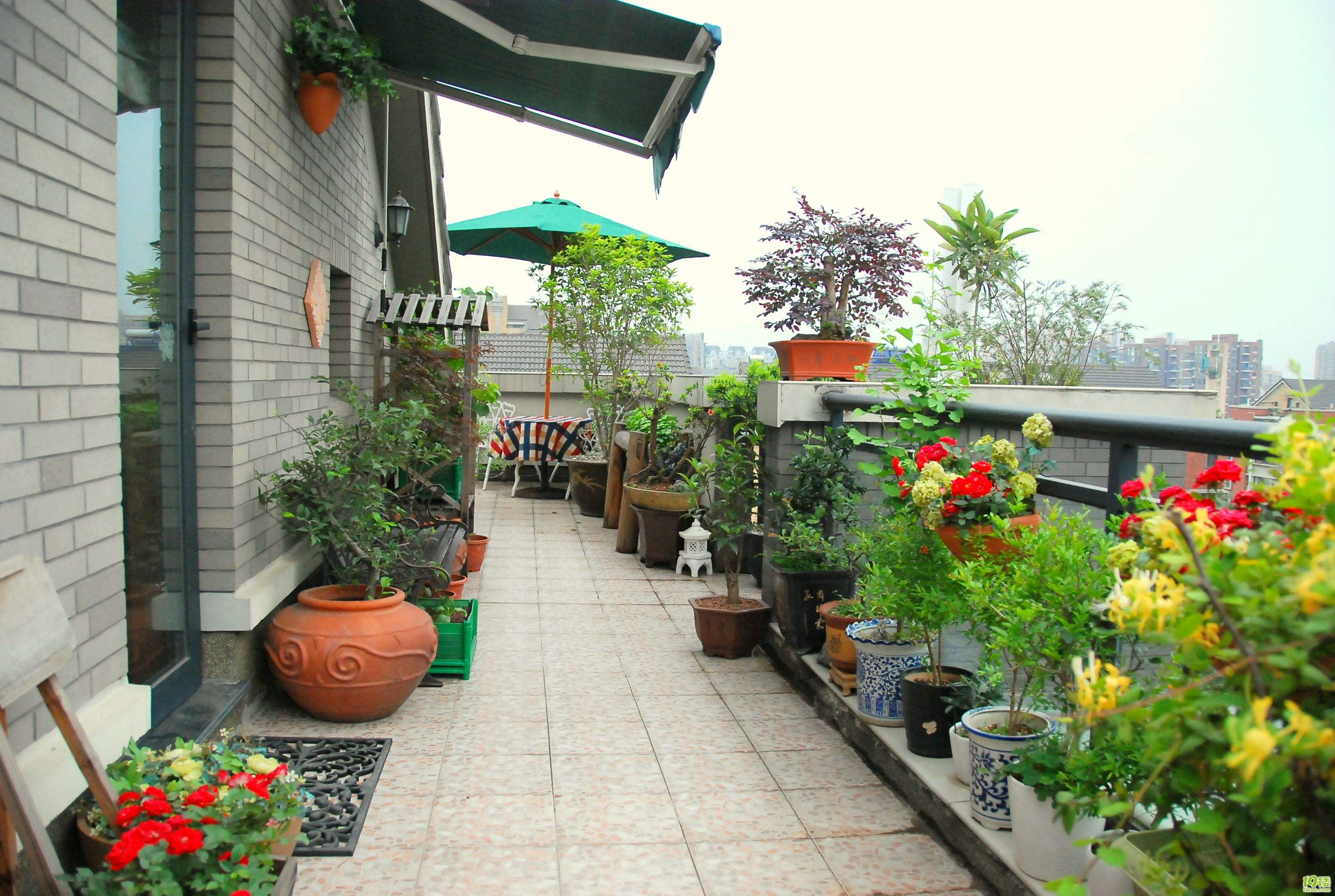 买不起别墅一定要买顶层造一个绝美的空中花园先看看这20个