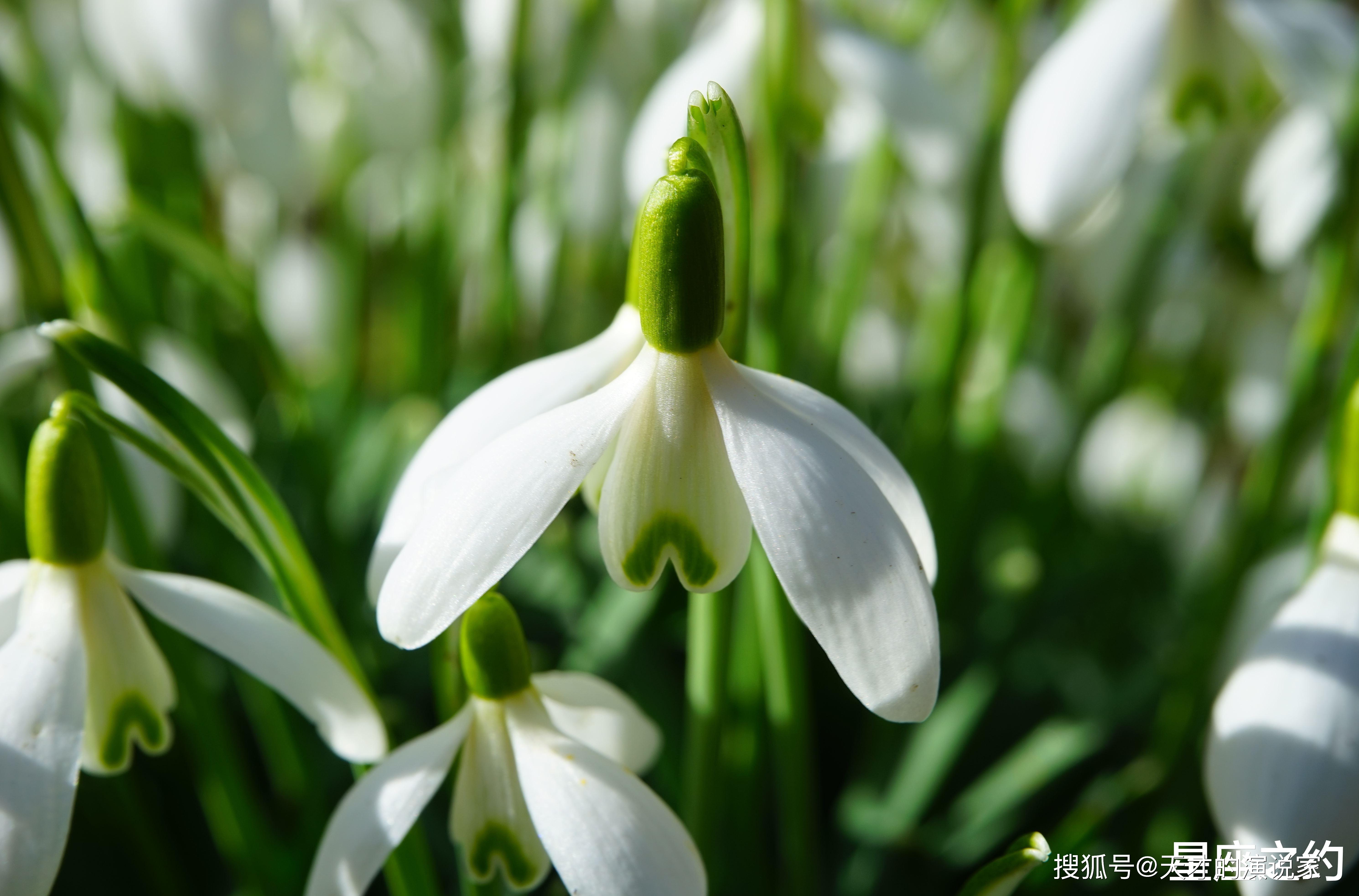 3月7日 13日星座運勢 金牛座齊心協力 水瓶座信心十足 占星網