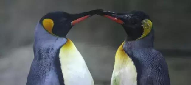 008a34af5e95482a8996575500c213d0.jpeg