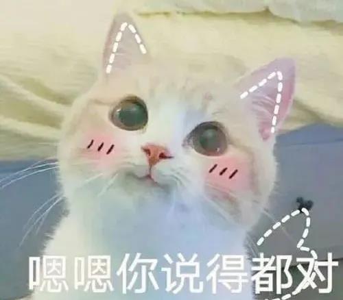 91dae07450c749729826f4b56211e38f.jpeg