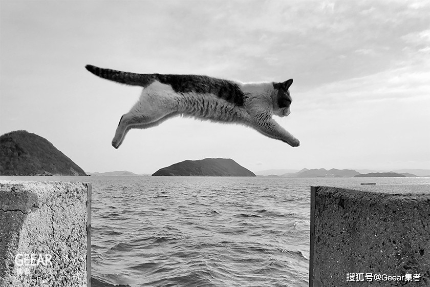 来自|2021年iPhone摄影大赛得奖作品公布！