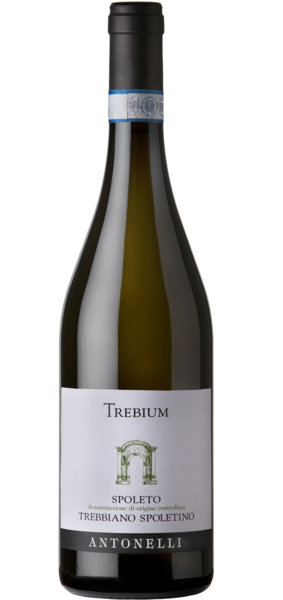 活动|【参与业内共赏】20210805线下活动:“寻找真实之翁布里亚”