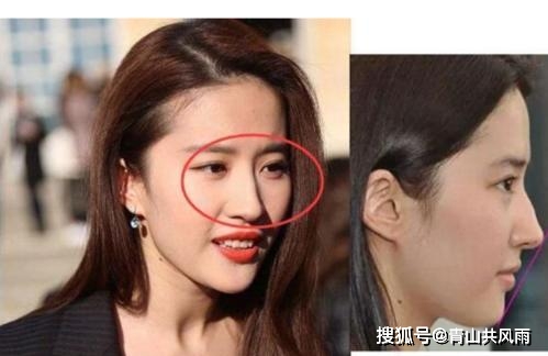 所以鼻梁宜直不宜弯,宜丰润有肉不宜瘦削露骨