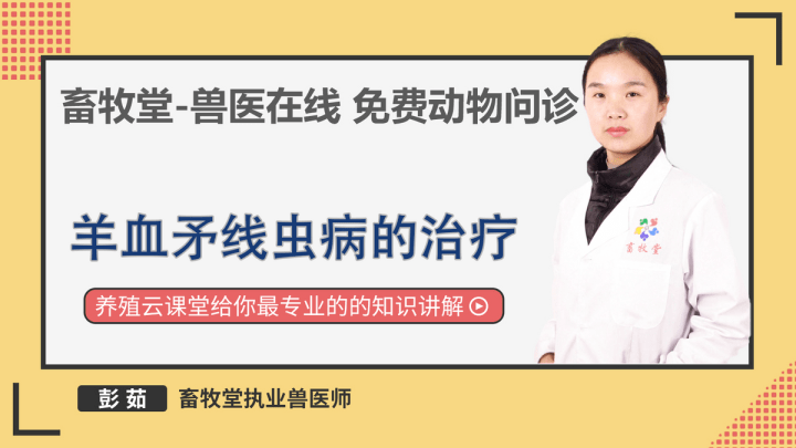 羊血矛线虫病的治疗羊血矛线虫病是什么病