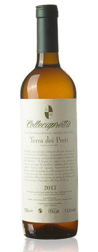 活动|【参与业内共赏】20210805线下活动:“寻找真实之翁布里亚”