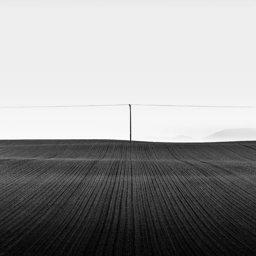 原创原来黑白照片可以拍得这么艺术2020黑白极简主义摄影奖揭晓